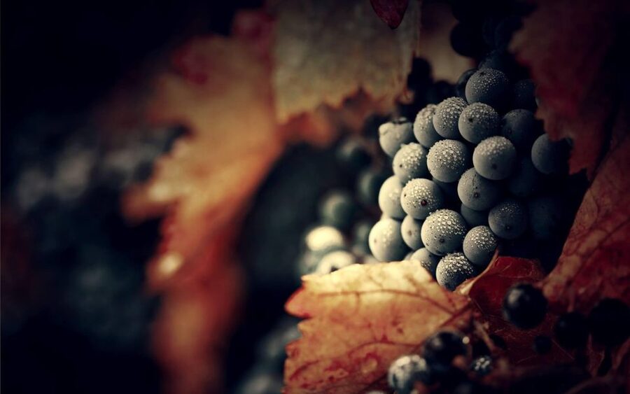The Douro Valley Tour – Late Start Experience - A late-start Douro day that feels paced, not frantic