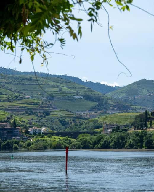The Douro Valley Tour – Late Start Experience - Pinhão boat cruise: the 1-hour decompression you will feel