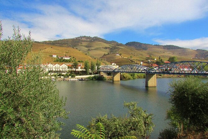The Douro Valley Wine Affair with Private Boat Trip - Small Group - Port tasting at a beautiful quinta: the finale you will remember