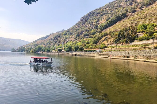 The Douro Valley Wine Affair with Private Boat Trip - Small Group - Guides and stories: why this feels more personal than a standard day tour