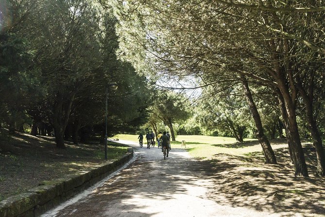 The Sunset Porto Bike Tour - Price and value: is $58.81 a smart use of 3 hours?