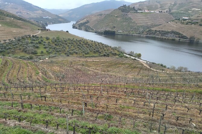 Tour- Douro Wine Region- The Douro Wine Route - Miradouro Torguiano: Miguel Torga’s Douro viewpoint stop