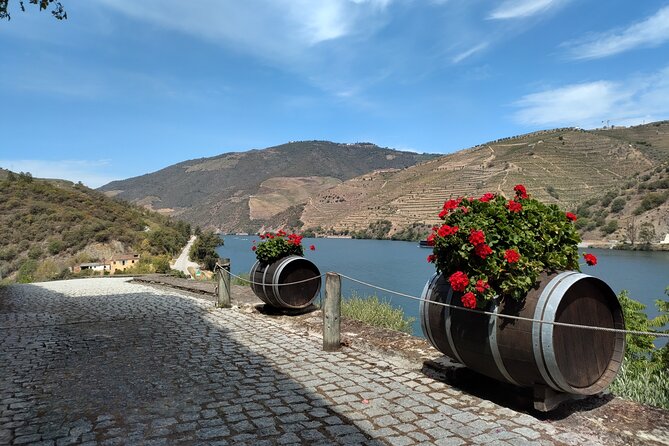 Tour- Douro Wine Region- The Douro Wine Route - Guides and group vibe: Jorge, Nuno, and the calm confidence of small teams