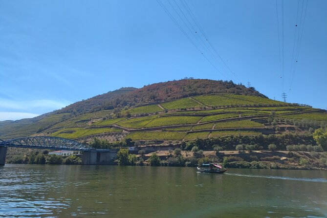Tour- Douro Wine Region- The Douro Wine Route - Who this tour suits best, and who should consider another option