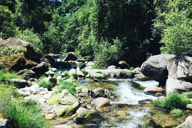Tour to Gerês in 4x4 full day with option of SUP Tour - Key moments that make this Gerês 4x4 day special