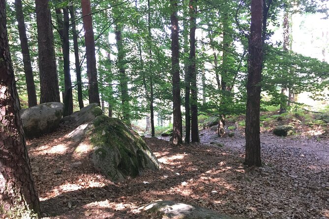 Tour to Gerês in 4x4 full day with option of SUP Tour - Lunch and water: what’s actually included in the $114.52 price