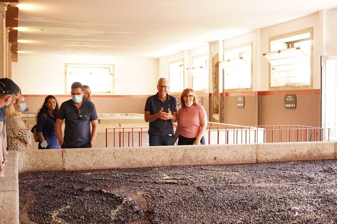 Tour to the Palace of Mateus and the Douro - A Half-Day Plan That Fits Douro Wine Better Than Just “One Winery”