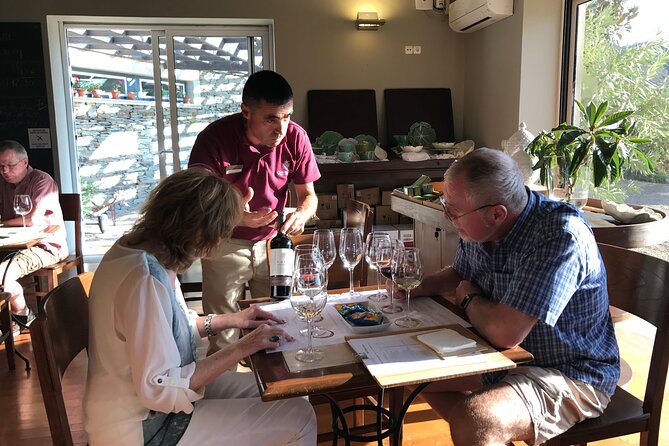 Tour to the Palace of Mateus and the Douro - Quinta das Carvalhas: Where the Wine and Port Tasting Becomes the Main Event