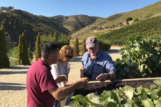 Tour to the Palace of Mateus and the Douro - Value and Price: What $418.88 Buys You