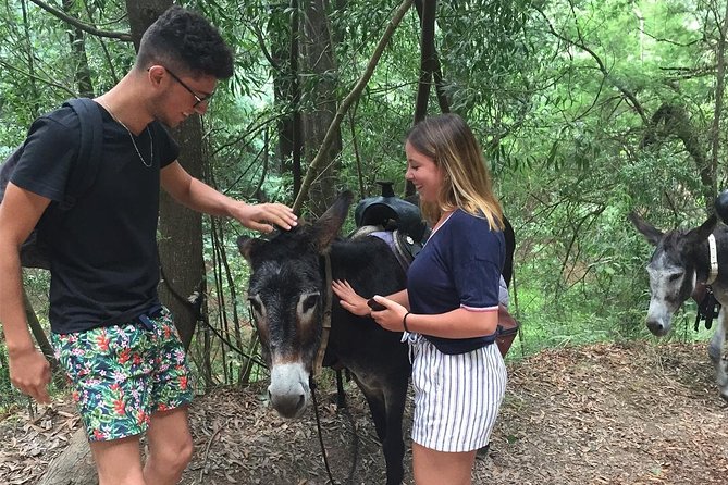 Tour to the Waterfalls in 4x4 full day - Green Wine Tasting and the Lunch Reality Check