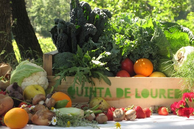 Traditional Cooking Class, Farm Tour & Lunch in the Douro Valley - Key highlights at Quinta de Louredo