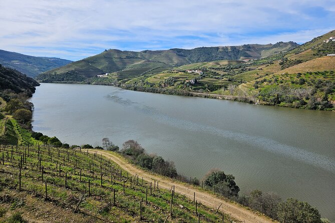 Transfer- Porto to Douro Wine Region (or reverse) - Porto to Douro Wine Region Transfer: what this ride actually solves