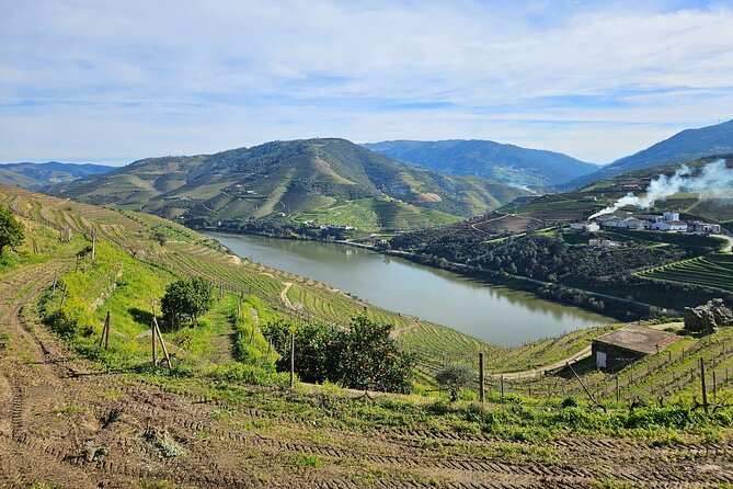 Transfer- Porto to Douro Wine Region (or reverse) - Price and value: what $51.17 per person buys you