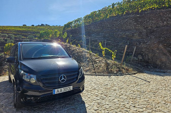Transfer- Porto to Douro Wine Region (or reverse) - Group size, discounts, and why private still feels efficient