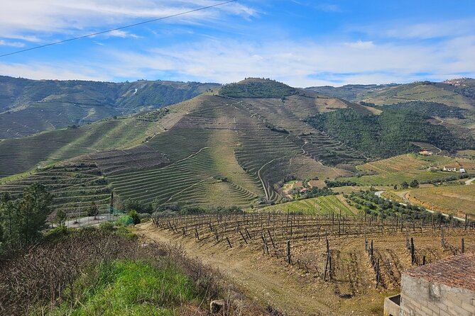 Transfer- Porto to Douro Wine Region (or reverse) - Who this Porto-Douro transfer is best for