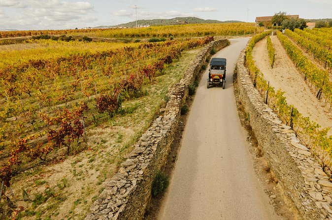 Two Day Tour of the Douro Valley - Quinta de Avessada: Moscatel de Favaios beginnings and a guided winery visit