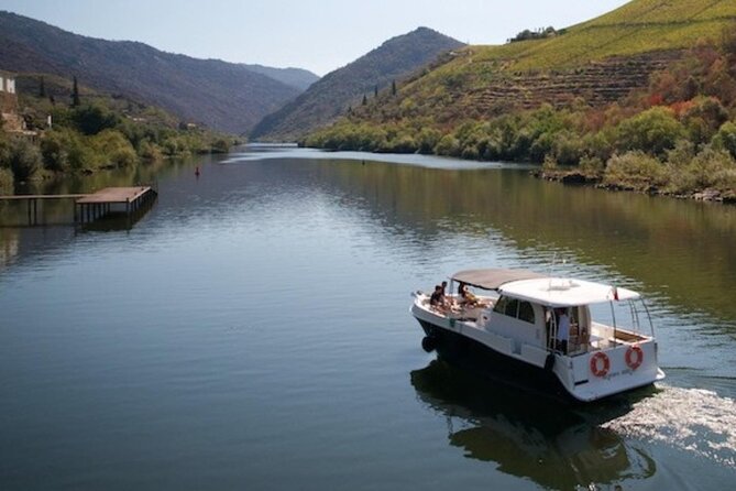 VALE DOURO, Premium Wine Tour, Wine Lunch, Private Boat - Vale do Douro Winery Stop: Tasting Plus a Real Guided Visit
