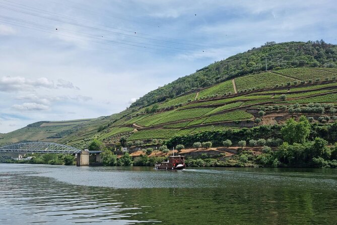 VALE DOURO, Premium Wine Tour, Wine Lunch, Private Boat - Lunch on a Farm in Douro: The Meal That Changes the Whole Day