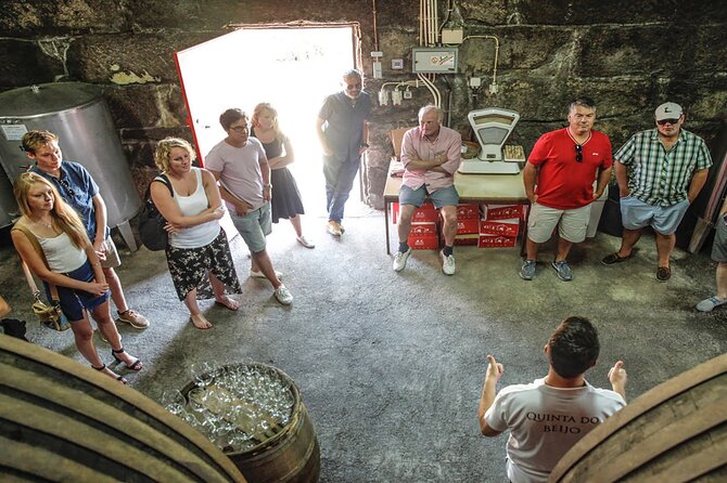 VALE DOURO, Premium Wine Tour, Wine Lunch, Private Boat - The Small Cruise Pier Stop and the Return to Porto