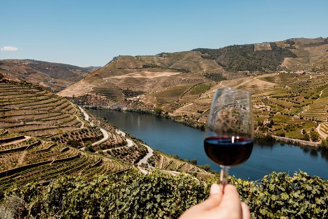 Valley of the Douro and Amarante Wine Gastronomy and Boat Tour - Quinta de São Luís: port wine tasting with a real vineyard story