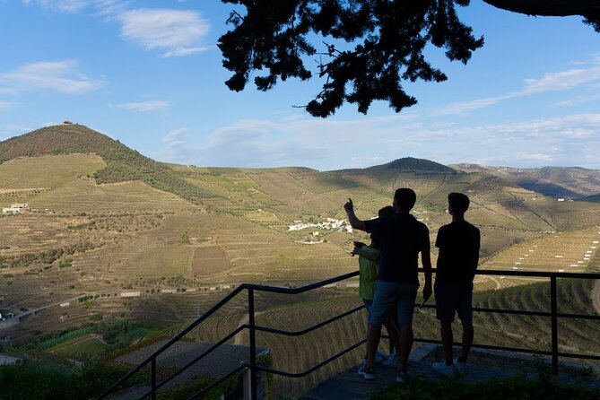 Valley of the Douro and Amarante Wine Gastronomy and Boat Tour - Amarante walking tour: streets, sweets, and green wine in a traditional tasquinha