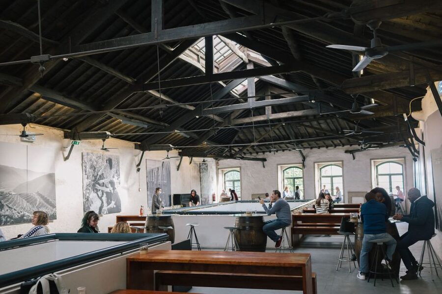 Vila Nova de Gaia: Cocktail Making Workshop - Key moments you should care about