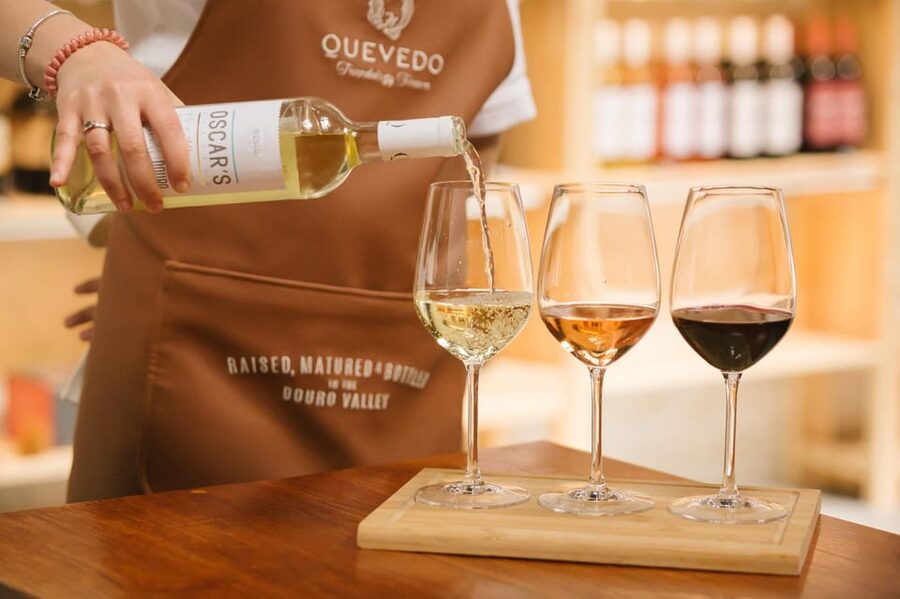 Vila Nova de Gaia: Douro Discovery - The Family Story You Actually Use When You Taste