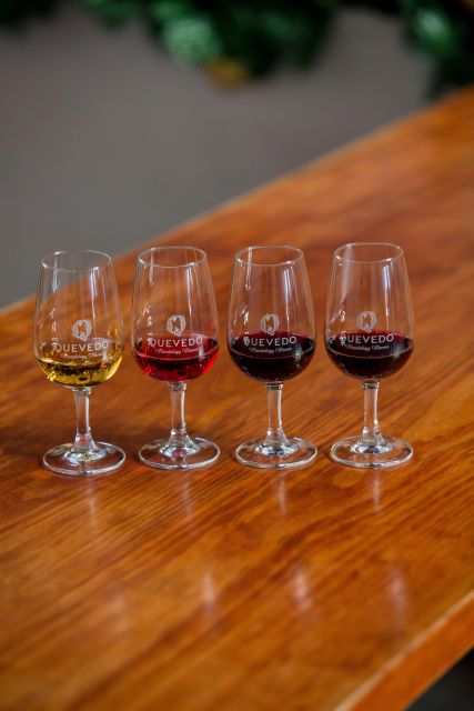 Vila Nova de Gaia: Porto Discovery Tasting - A 30-minute Port lesson in Vila Nova de Gaia