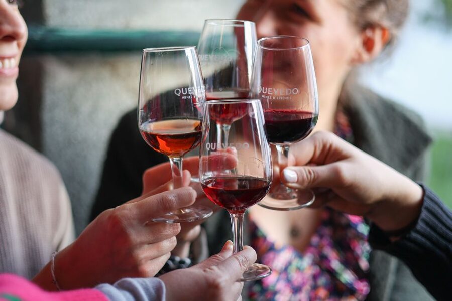 Vila Nova de Gaia: Porto Discovery Tasting - How this family Port house tells the grape-to-bottle story