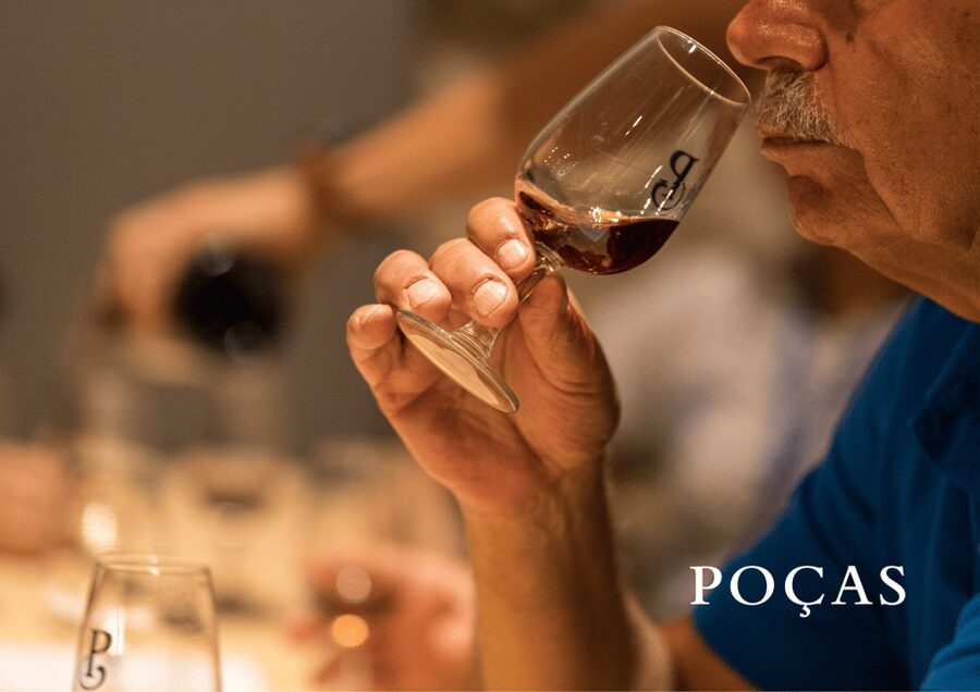 Vila Nova de Gaia: Winery Tour with 2 DOC Douro & 1 Port - Key highlights you will care about