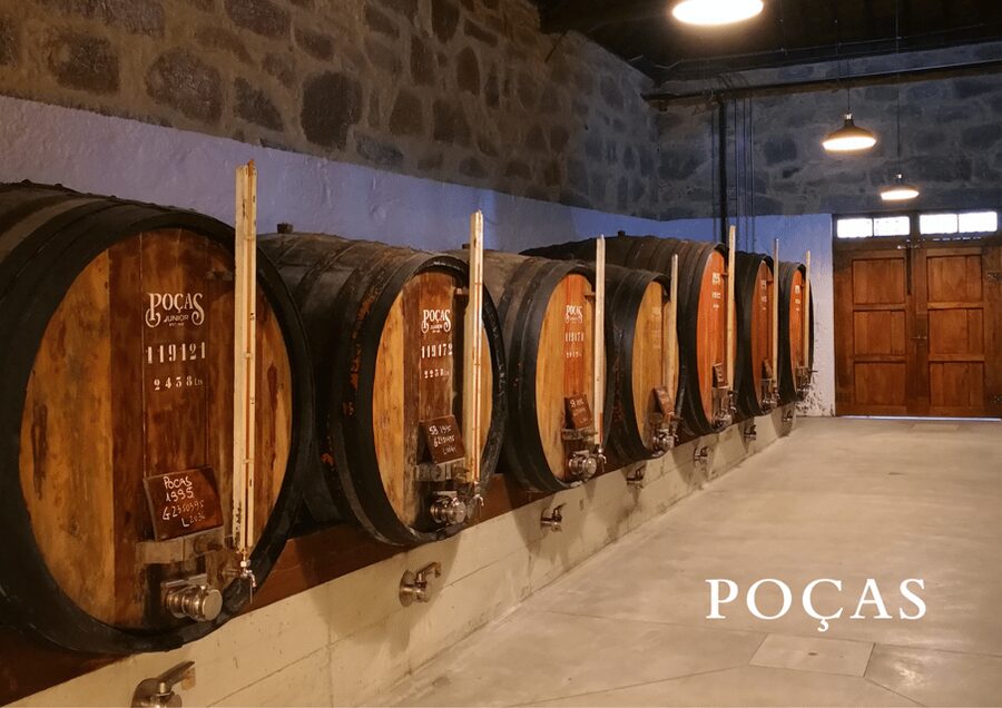 Vila Nova de Gaia: Winery Tour with 2 DOC Douro & 1 Port - Walking you from cellar to pairing room