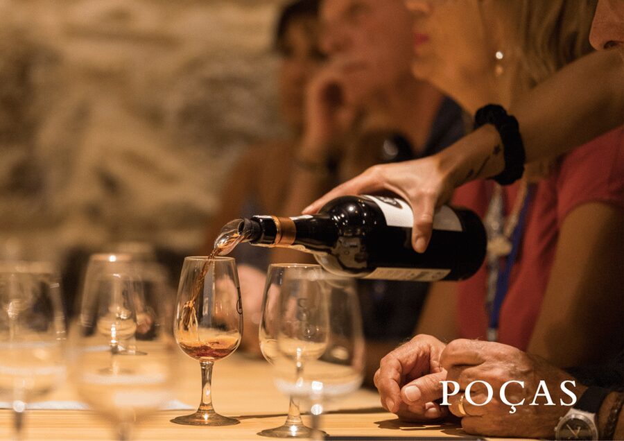Vila Nova de Gaia: Winery Tour with 2 DOC Douro & 1 Port - Learning the Douro Valley link, not just the wine