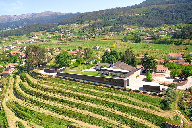 Vinho Verde Experience with 2 Wineries and Lunch - Key highlights you will actually care about