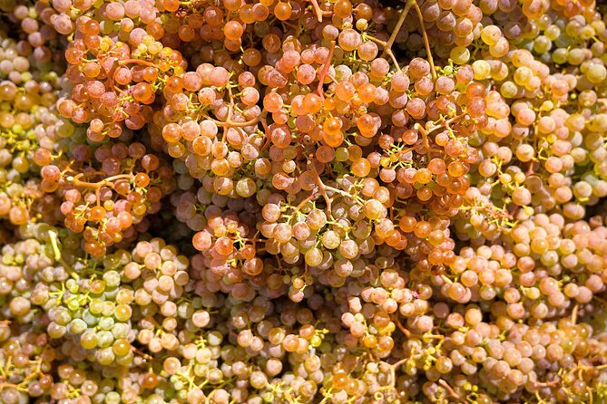 Vinho Verde Experience with 2 Wineries and Lunch - Vinho Verde From Porto: Why This Day Trip Works