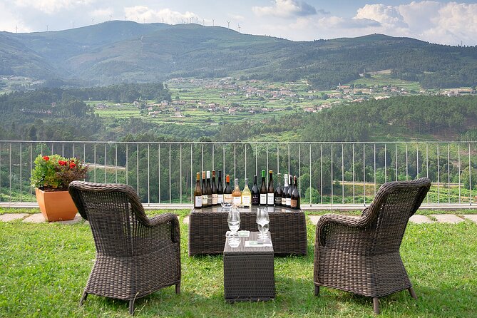 Vinho Verde Experience with 2 Wineries and Lunch - Stop 3: Quinta da Torre and Anselmo Mendes in Monção