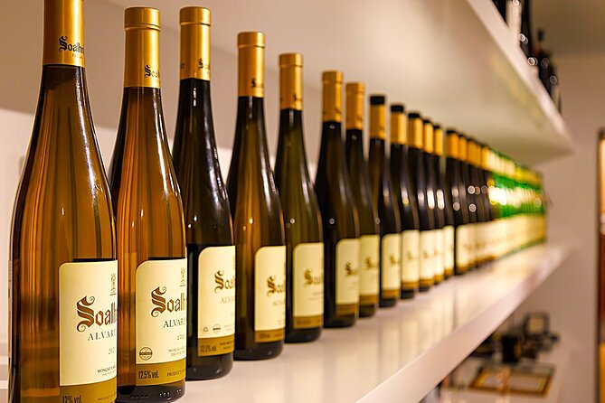 Vinho Verde Experience with 2 Wineries and Lunch - What You Will Learn (Without Turning It Into a Lecture)