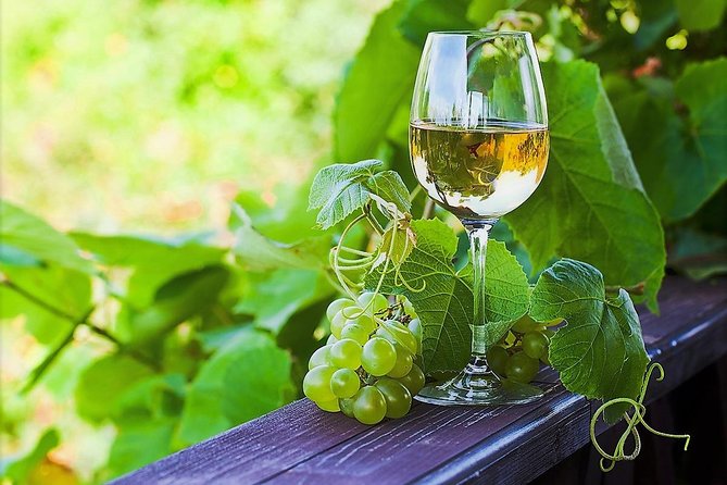 Vinho Verde Private Wine-Tour (All Inclusive) - Pickup and transport: the comfort upgrade you actually feel