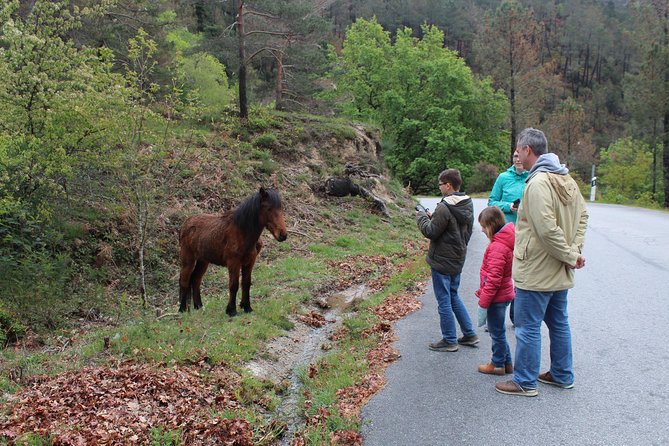 Waterfalls, Heritage and Nature in Gerês Park - from Porto - Paradela: viewpoint time for mountain and water drama