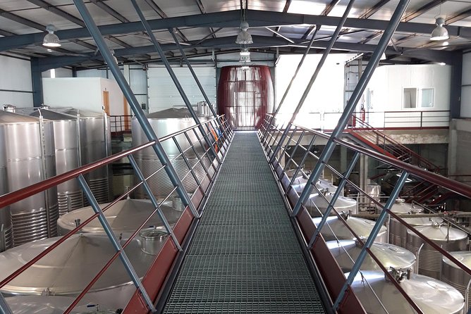 Wine Tasting & Lunch from Porto | Quinta de Santa Cristina - The winery tour: from grape reception to bottling