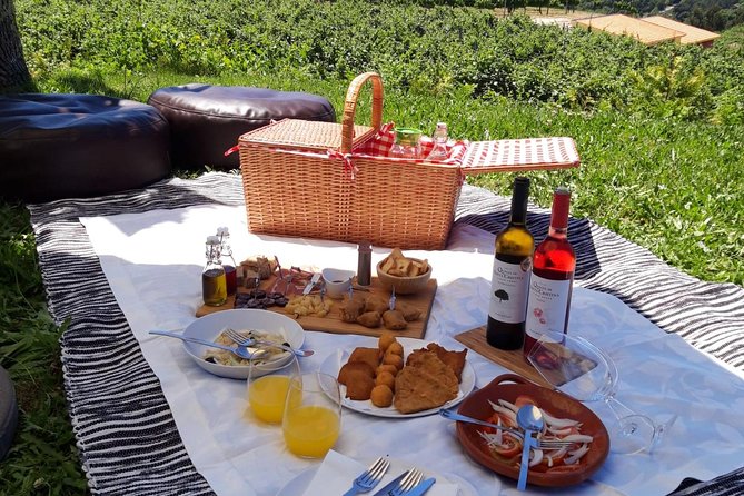 Wine Tasting & Lunch from Porto | Quinta de Santa Cristina - Tastings plus pairing lunch: 3 Quinta wines with a regional spread