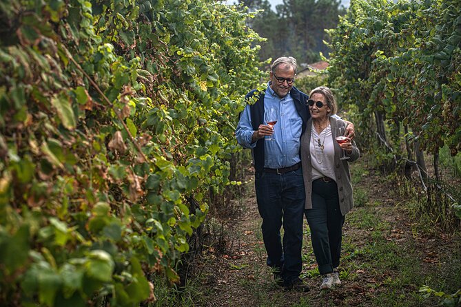 Wine Tasting & Lunch from Porto | Quinta de Santa Cristina - Price and value: is $208.50 per person worth it?