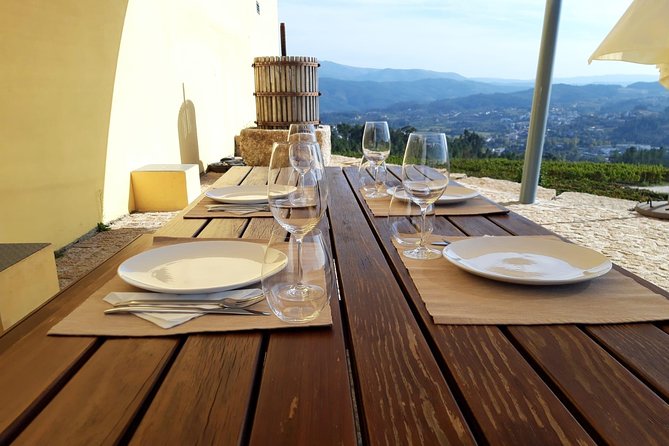Wine Tasting & Lunch from Porto | Quinta de Santa Cristina - Wandering the vineyards: learning grape varieties the practical way
