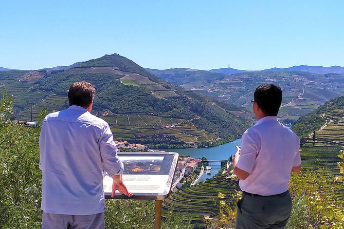 Wine Venture and Boat Trip in Douro Valley from Porto - Price and value from Porto: what you are really paying for