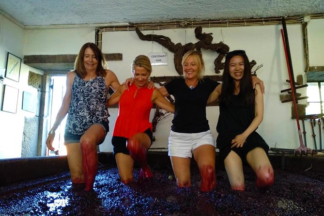 Wine Venture and Boat Trip in Douro Valley from Porto - When this tour fits best, and when it does not